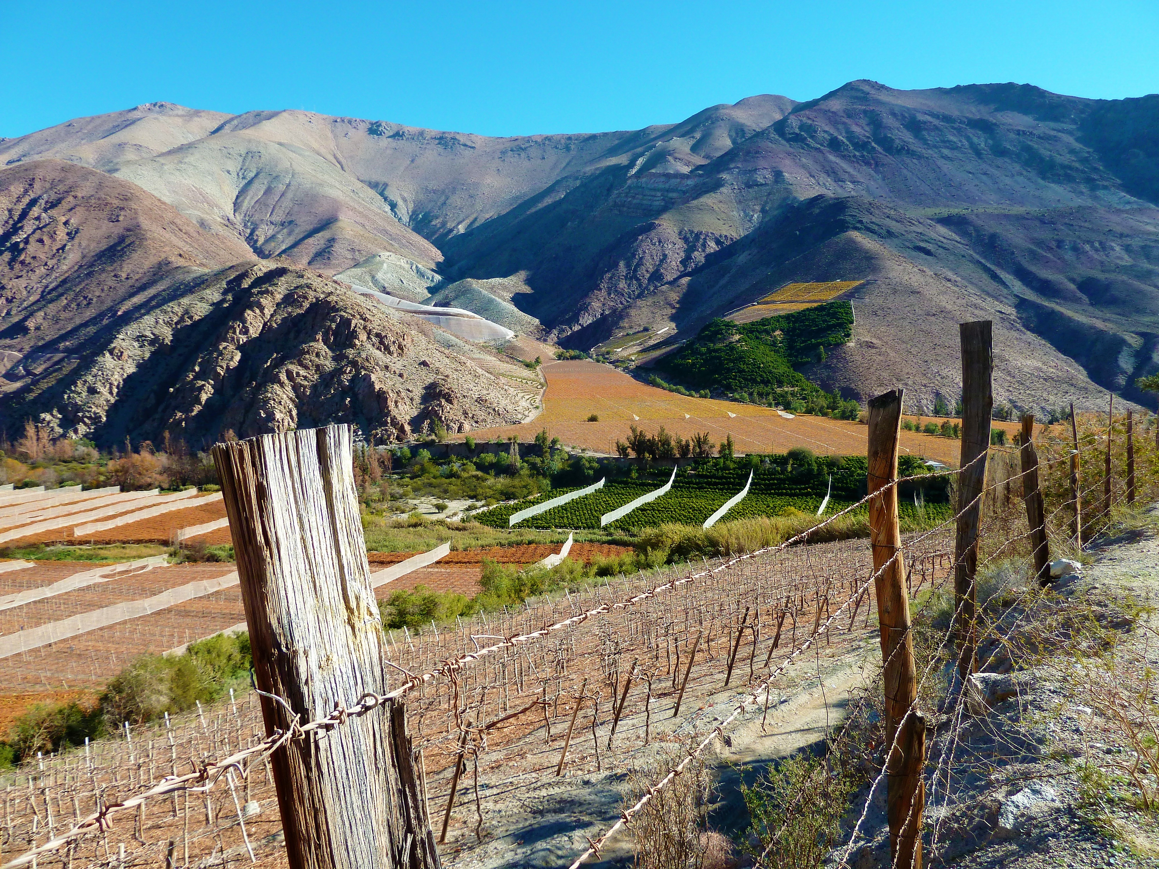 Un road-trip dans la vallée de l’Elqui