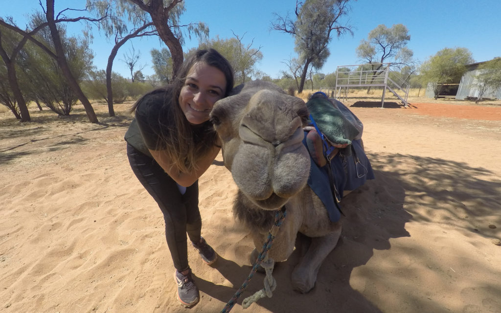 wwoofing en australie avec les chameaux