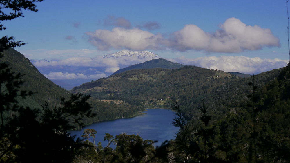 Chili : randonnée dans le Parc National Huerquehue près de Pucon