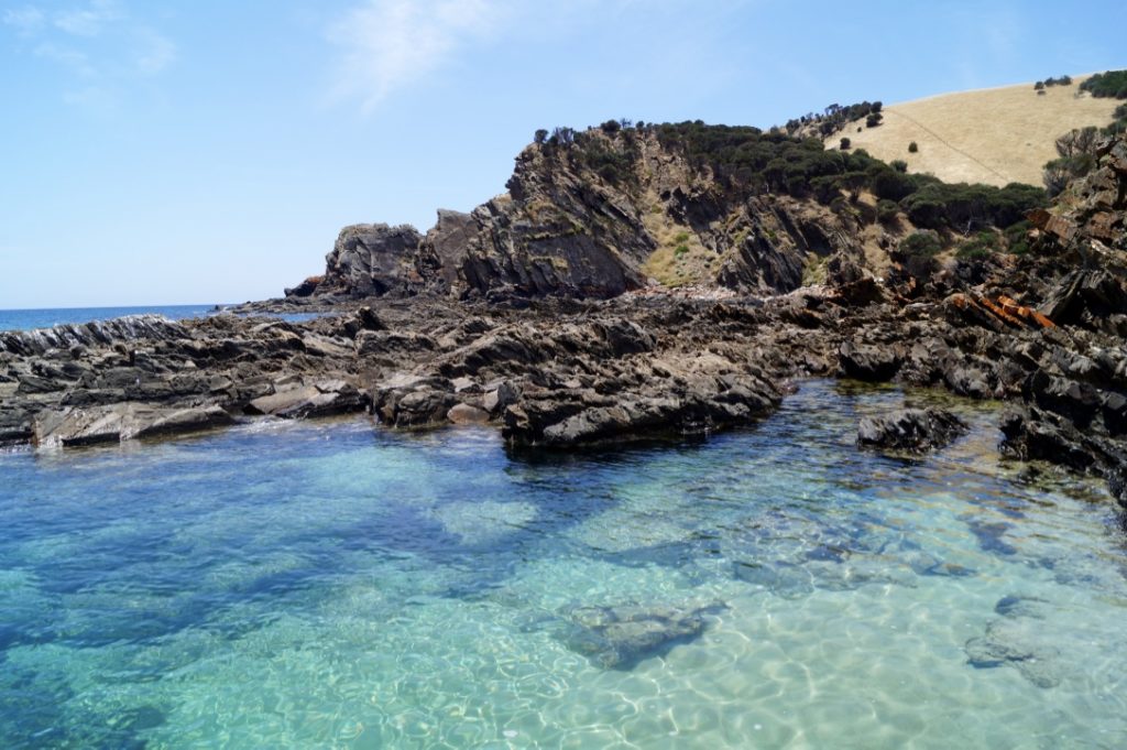 visiter Kangarou Island en Australie