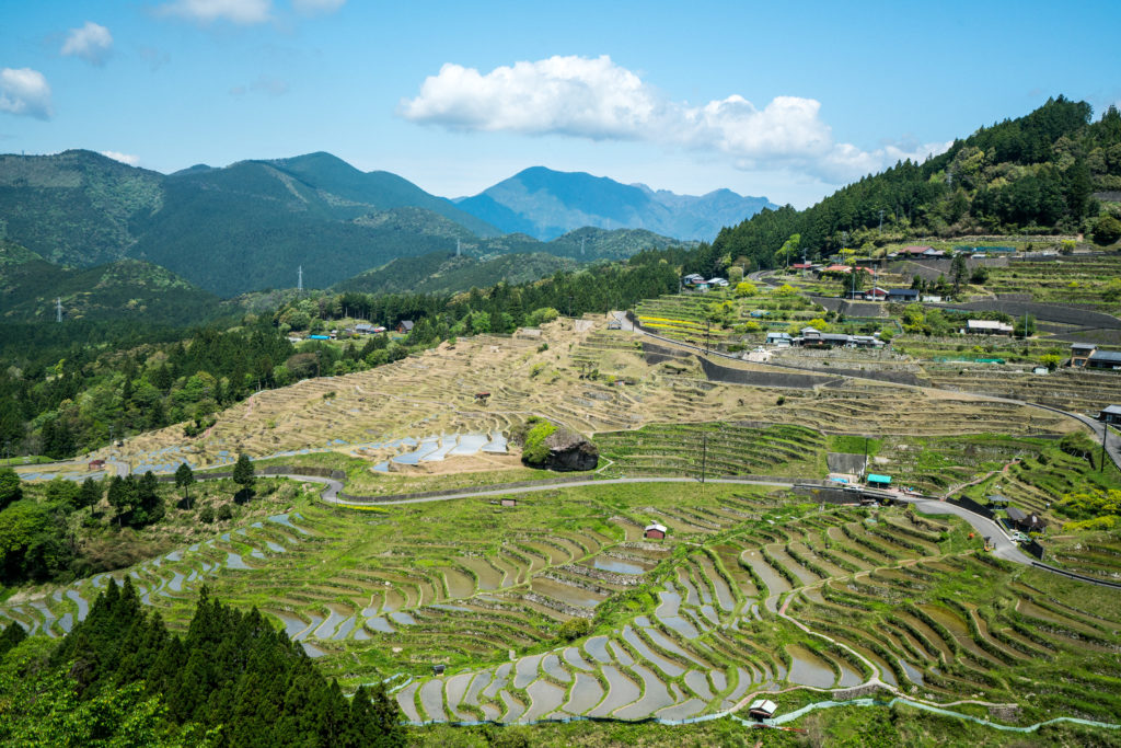 Maruyama Senmaida