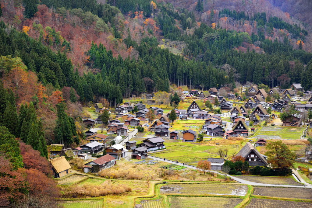 La découverte de la campagne japonaise