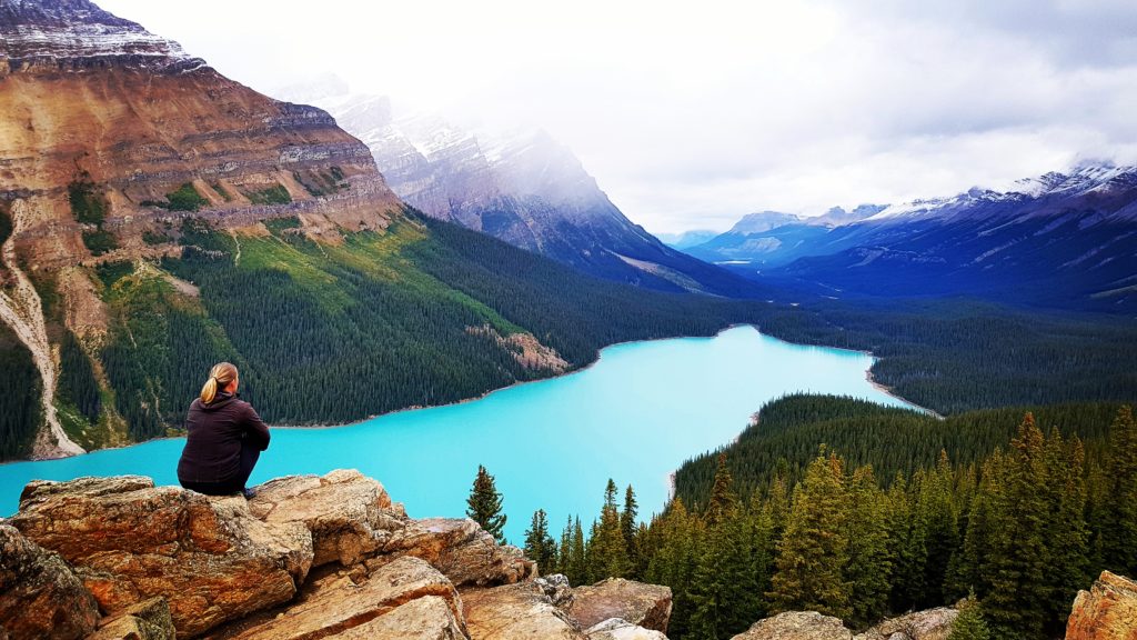 immigrer au Canada après un working holiday