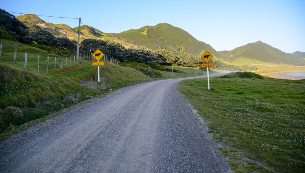 comment louer un véhicule en Nouvelle-Zélande ?