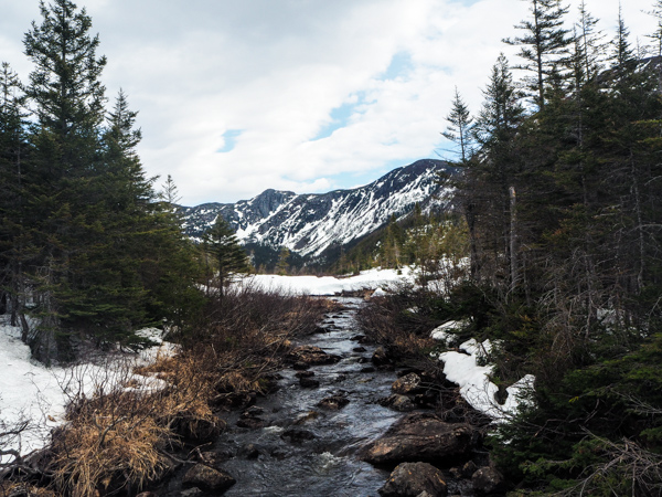 parc national de la gaspésie