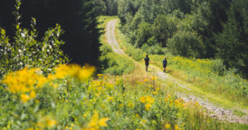 Randonnez au Québec avec l’équipe de Picbois Trekking randonnée pédestre au Québec