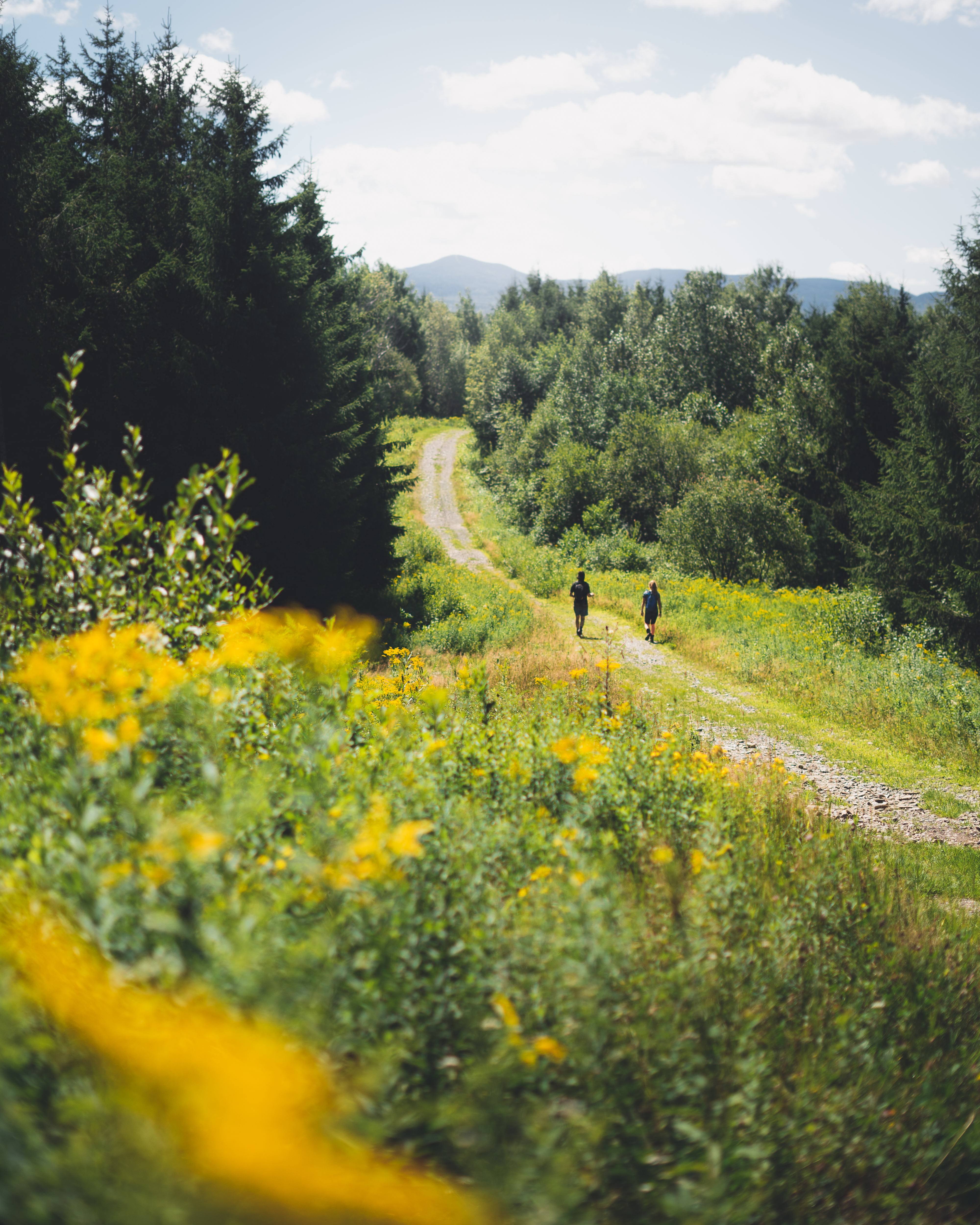 Randonnez au Québec avec l’équipe de Picbois Trekking