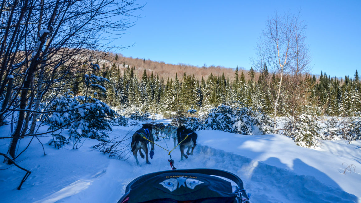 que faire au Québec