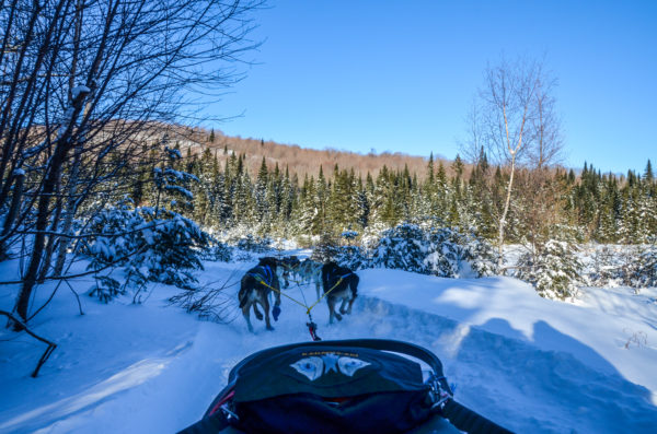 Les coups de cœur de Romane et Matthieu au Québec