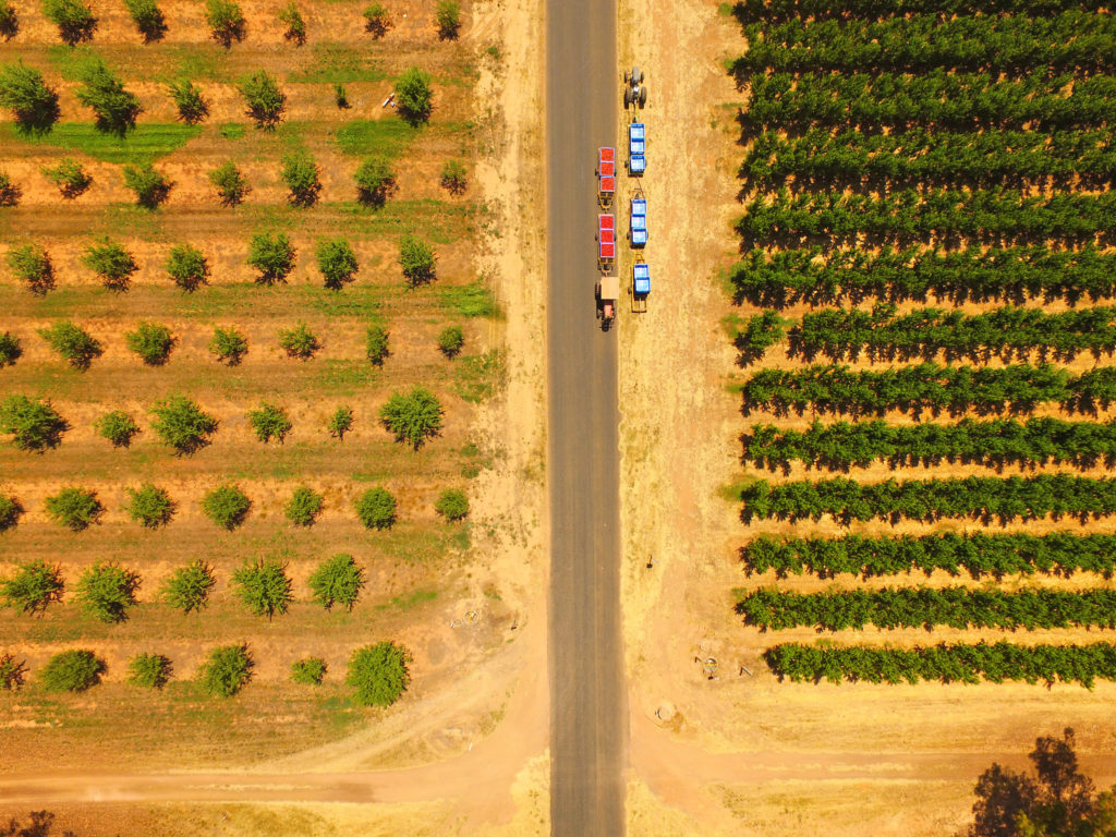 les jobs de fruit picking, serveur et dans la construction en Australie