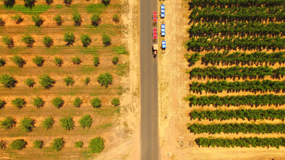 les jobs de fruit picking, serveur et dans la construction en Australie