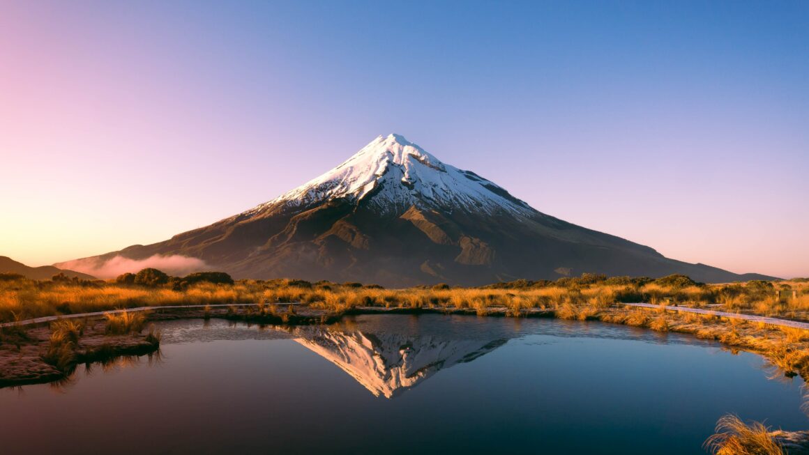 combien de français en NZ