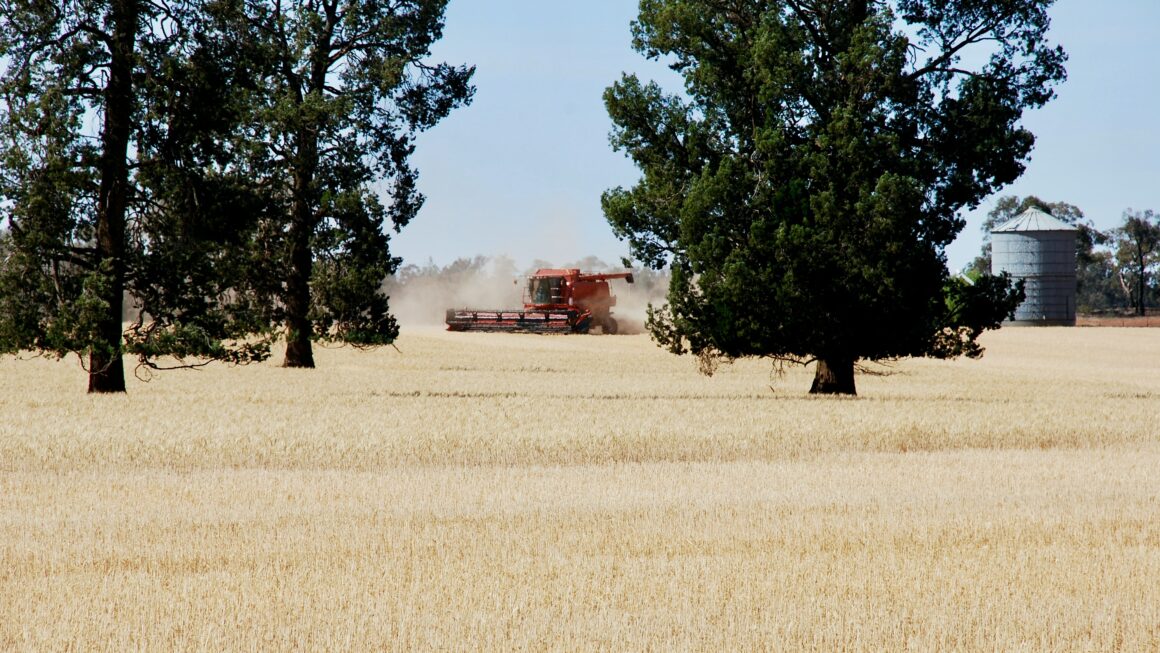 comment trouver du travail en ferme en Australie ?