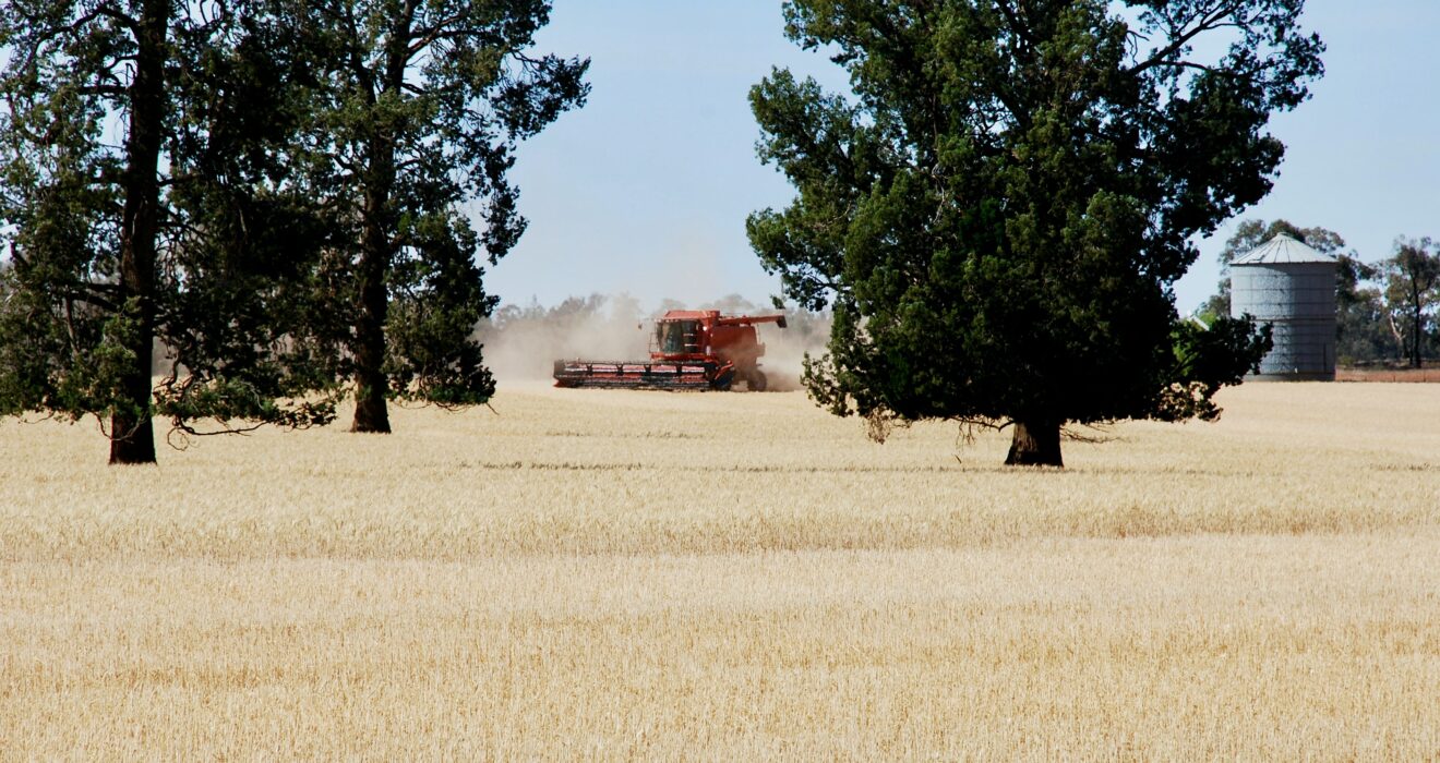 comment trouver du travail en ferme en Australie ?