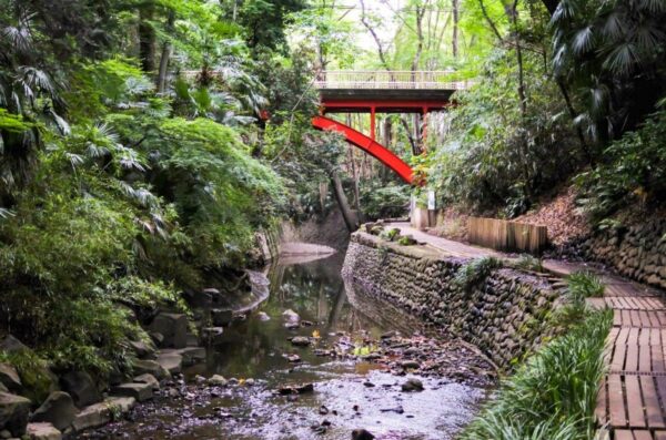 8 endroits insolites à voir à Tokyo